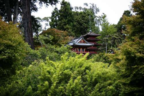 Asian Nature Japanese Forest Japanese Garden Woods