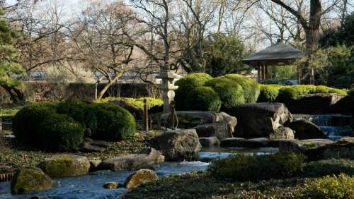 Asian Nature Japanese Japanese Garden Plant