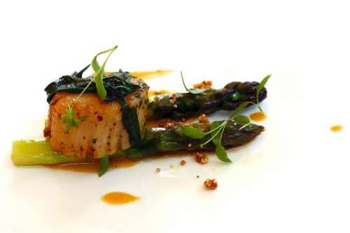 Asparagus Food Appetizer Kitchen Fish Scallop