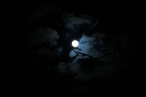 At Night Moon Full Moon Dark Cloud Moonlight