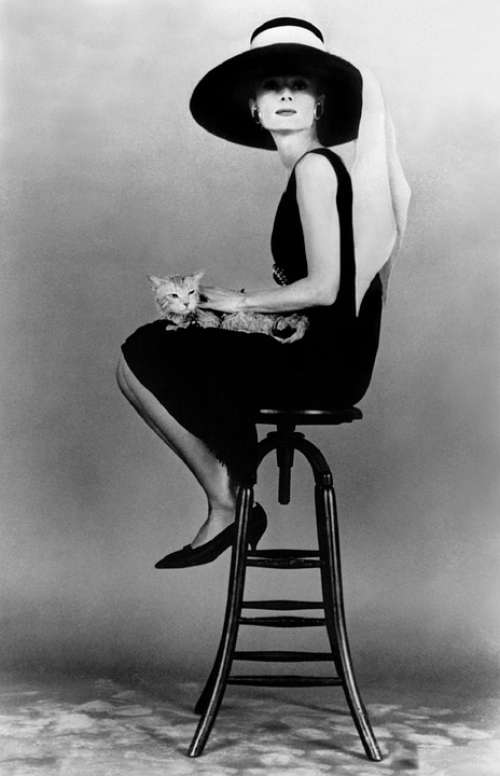 Audrey Hepburn Actress Vintage Movies