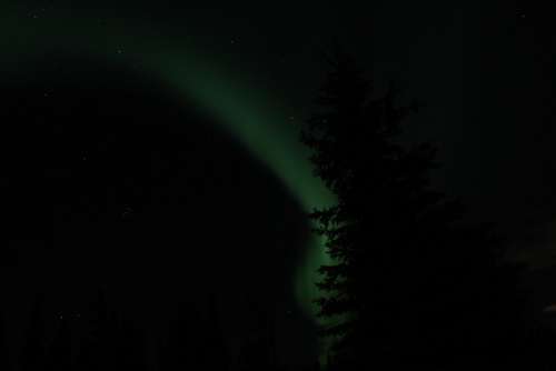 Aurora Northern Lights Alaska