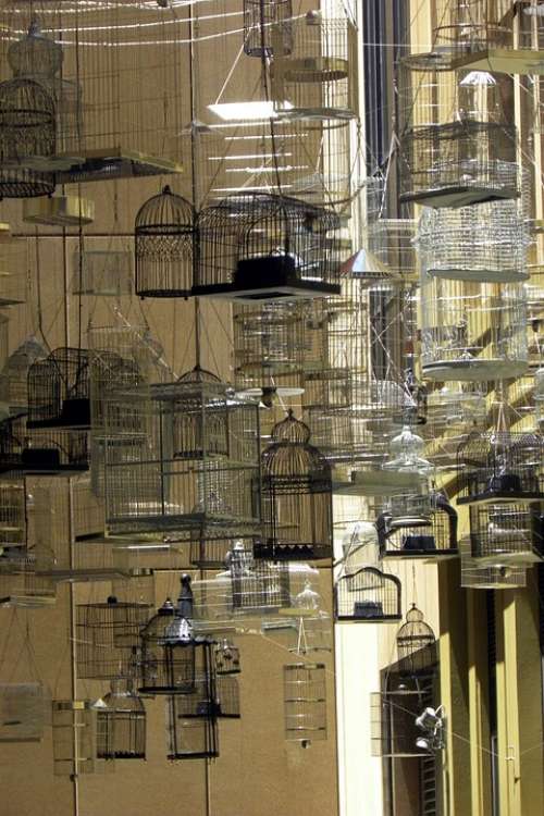 Australia Sydney City Bird Cages