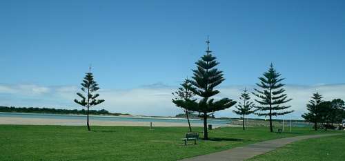 Australia Lake Illawarra Meadow Nature Landscape