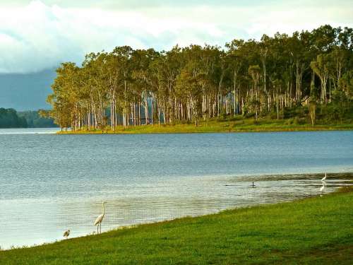 Australia Forest Coast Lake Landscape Scenic