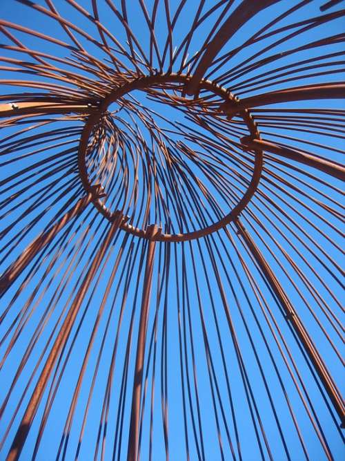 Australia Arboretum Nature Park Environment Sky