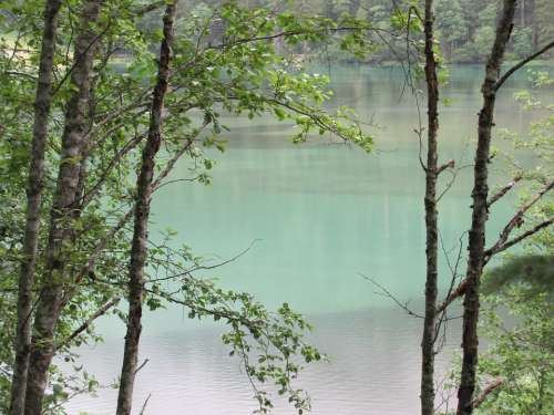 Austria Nature Lake Hunter Lake Blue Forest Trees