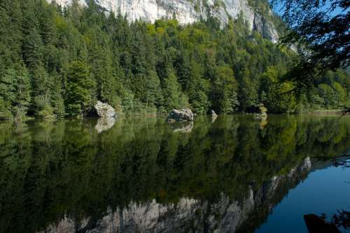 Austria Forest Trees Woods Lake Water Reflections