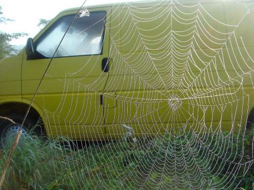 Auto Yellow Web Large Impression