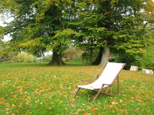 Autumn Park Deck Chair Trees Emerge