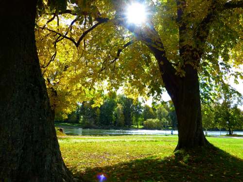 Autumn Mood Danube Autumn Light Sun Golden