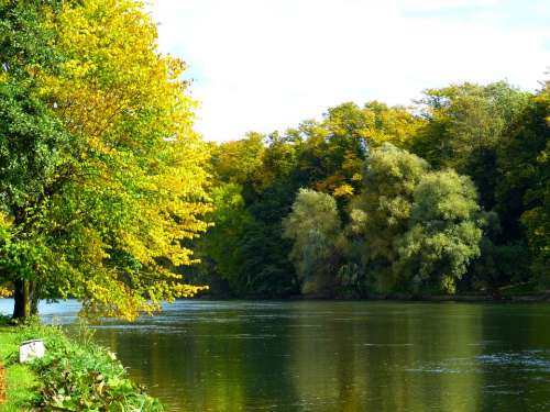 Autumn Mood Danube Autumn Light Sun Golden