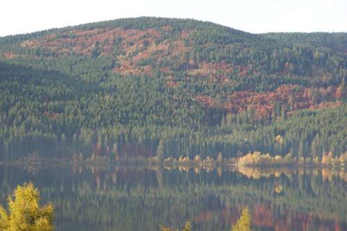 Autumn Lake Black Forest Schluchsee Mirror Image