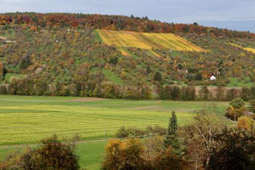 Autumn Vineyard Color Out Season Nature Landscape