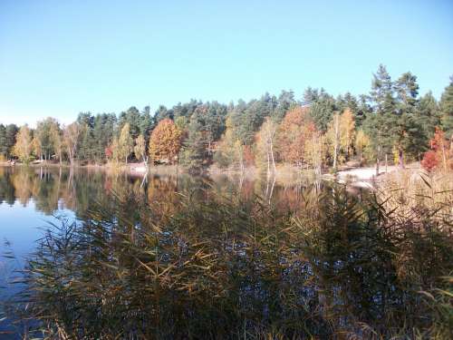 Autumn Lake Bank Farbenspiel