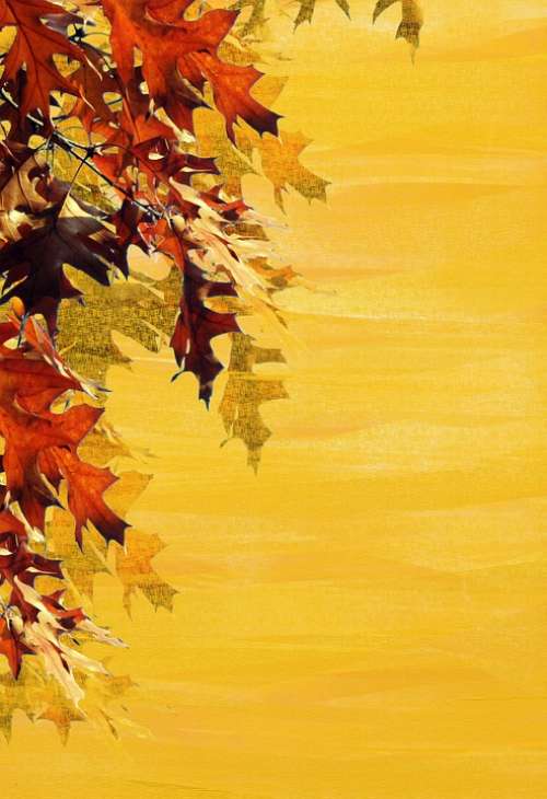 Autumn Background Leaves Emerge Stationery