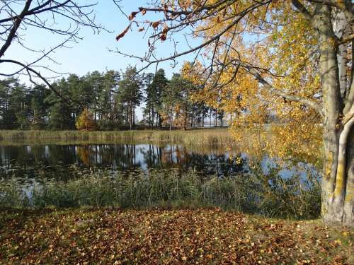 Autumn Beautiful Lake Beautiful Lake Lithuania