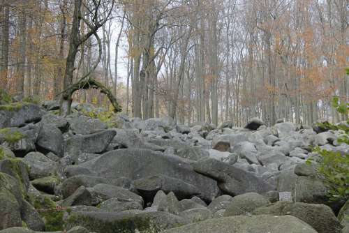 Autumn Stones Rock Forest Trees Fall Color