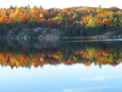 Autumn Lake Reflection Fall Colors Canadian Shield