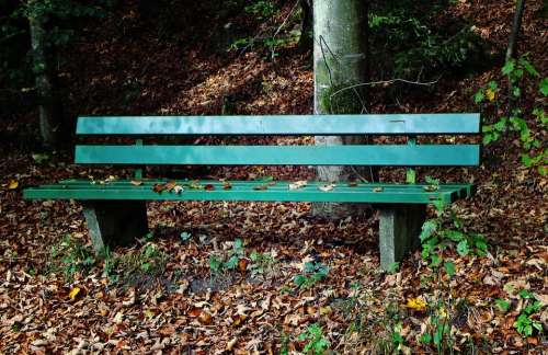 Autumn Bank Seat Out Leaves Forest Trees Mood