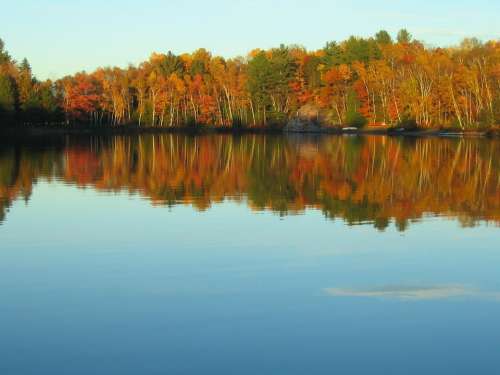 Autumn Lake Reflection Fall Colors Scenic Trees
