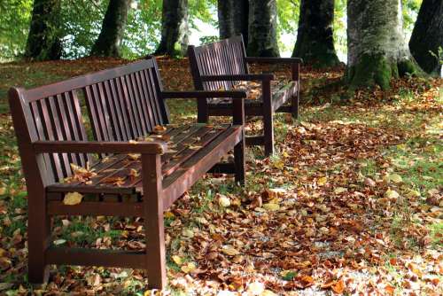 Autumn Bench Seat Nature Rest Out Wood Bank