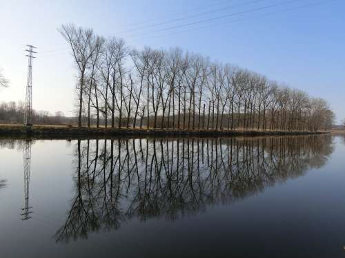 Avenue Trees Water Mirroring Landscape Rest