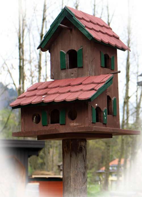 Aviary Bird Feeder Bird Nesting Place