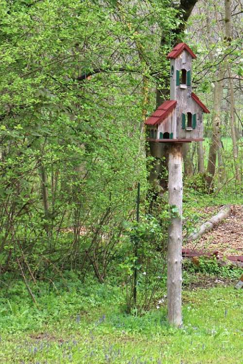 Aviary Bird Feeder Bird Nesting Place