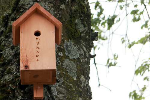 Aviary Bird Feeder Nesting Box Nesting Help