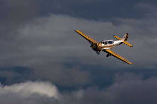 Aviation Plane Two Seater Stunt Yellow White