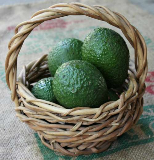 Avocado Basket Health Food Organic Green Diet