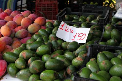 Avocados Spain Andalusia Market Fruits Vegetables