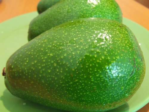 Avocados Food Tropical Healthy Green Vegetarian