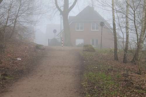 Away Tree House Fog