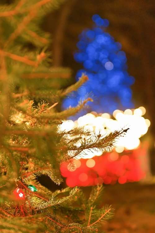Awesome Beautiful Christmas Decor Christmas Tree