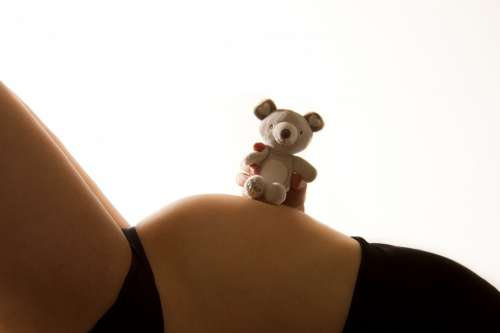 Baby Bump Pregnant Pregnancy Teddy Toy Child