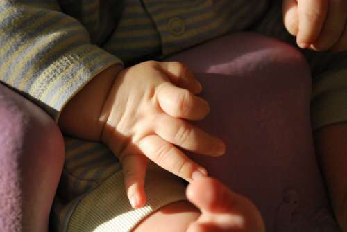 Baby Hand Child Cute Fingers Hands Small Infant