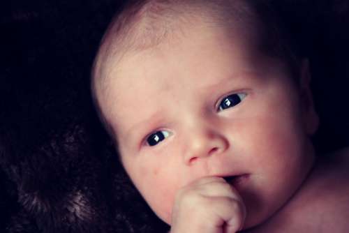 Baby Face Sweet Cute Hand Infant Small Head Boy