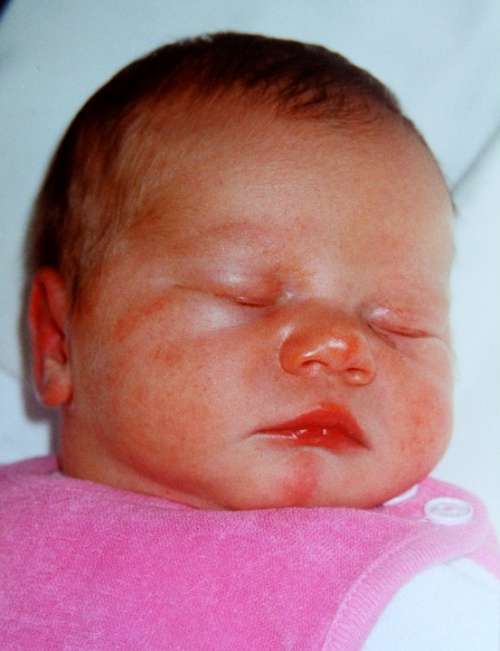Baby Newborn Sweet Sleeps Cute Portrait Infant