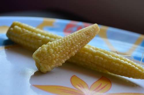 Baby Corn Sticks Corn Vegetables Healthy