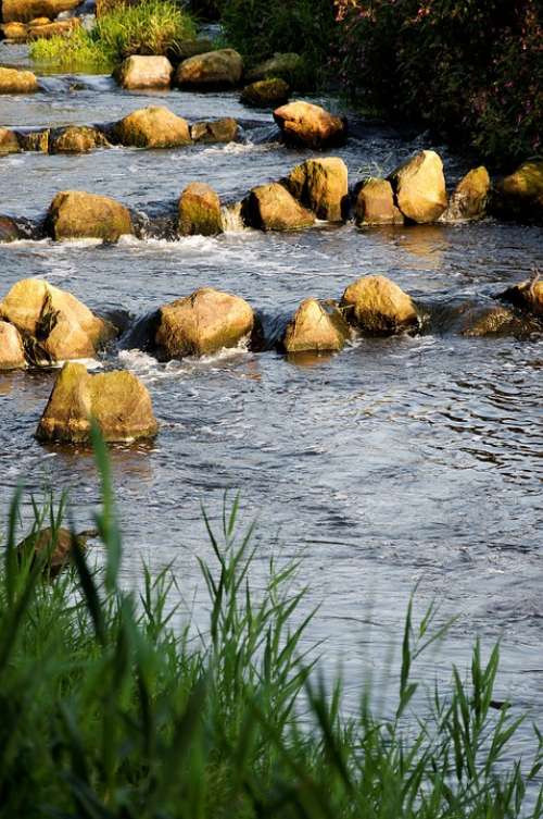 Bach Grass Sun Bank Stones Splash Riverbed Water