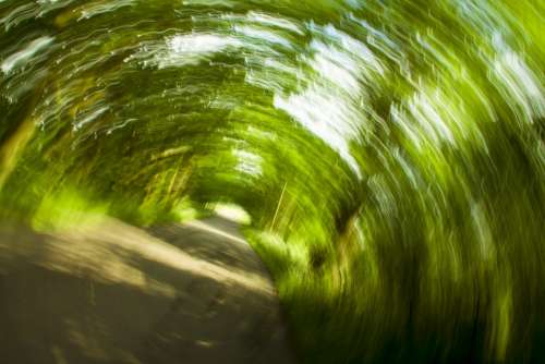 Background Strudel Abstract Trees