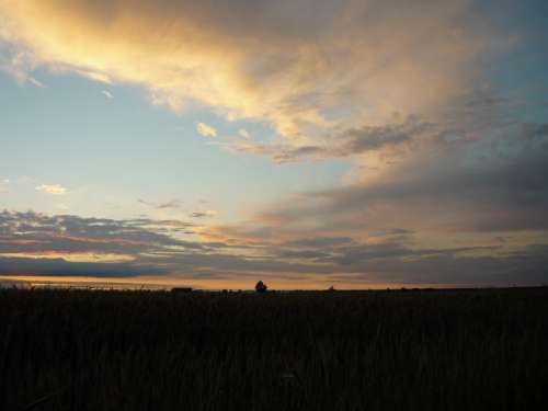 Badajoz Field Sky Clouds Nature Sunset Horizon