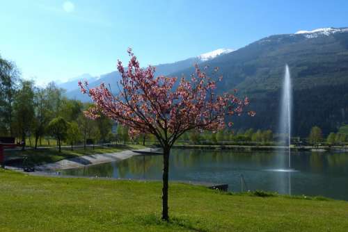 Badesee Fountain Uttendorf Water