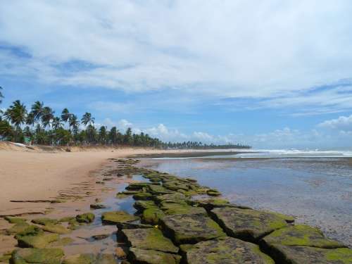 Bahia Deserted Beach Strong Beach Brazil