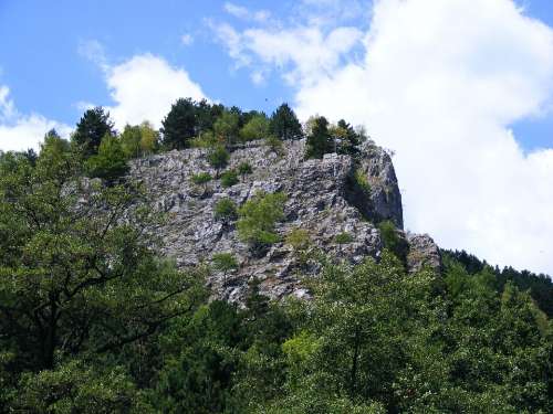 Baia Fier Gorj Green Iron Mine Mountain Romania
