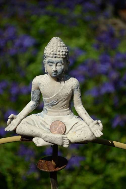 Balance Zen Buddha Image Meditation Spirituality