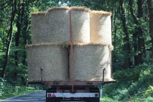 Bale Straw Bales Agriculture Cattle Feed Wrapped Up
