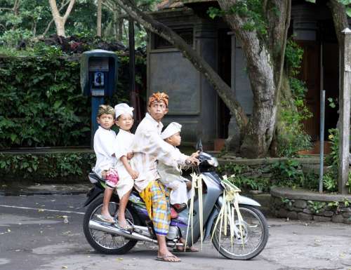 Bali Temple Festival Motorcycle